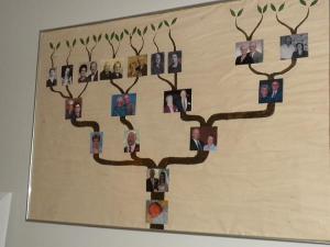 The full picture of Tyler's family tree with the gap where my family is missing a few pictures