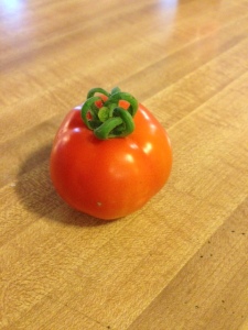 Our first ripe tomato of 2013!